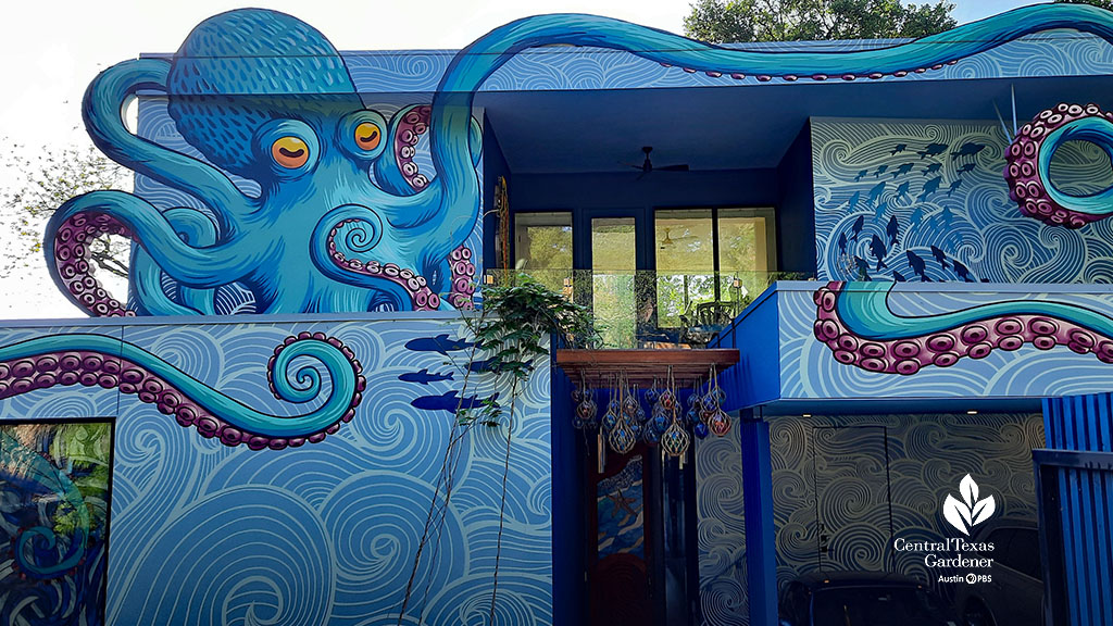 house painted like octopus in the sea 