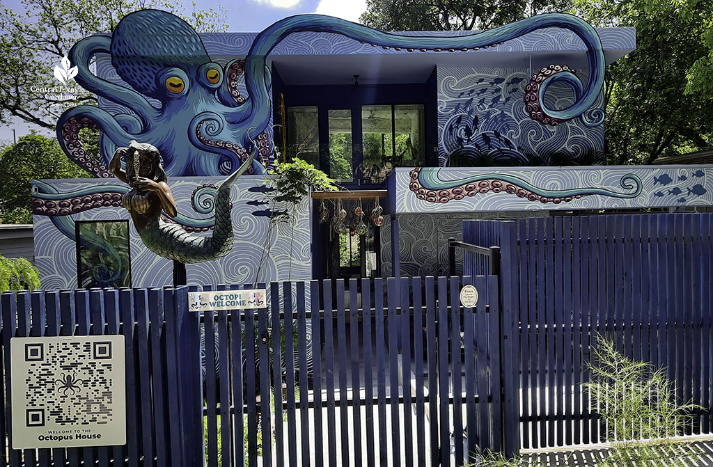 house painted like an octopus with mermaid sculpture in front