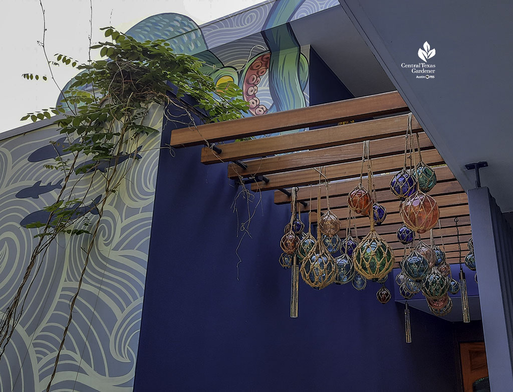 vine twining over wood slats over entryway accented with colorful nautical glass balls