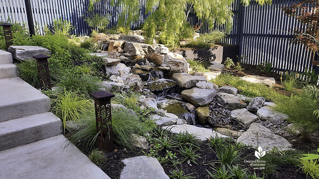 front yard narrow steam and waterfall bordered by plants