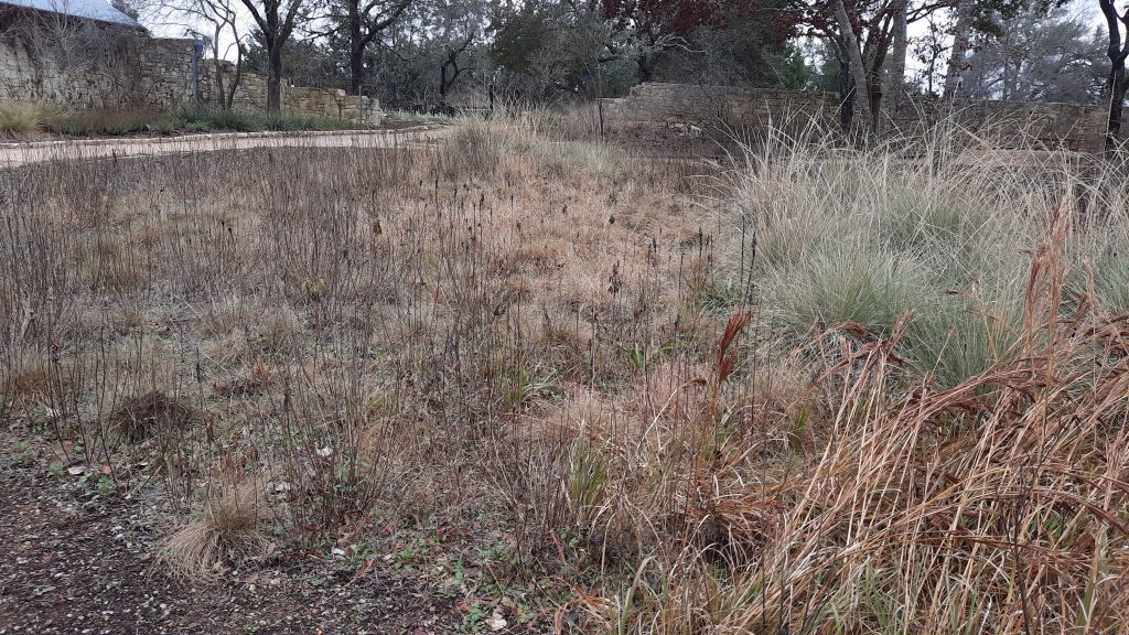 winter brown grasses and stalks of dormant perennials