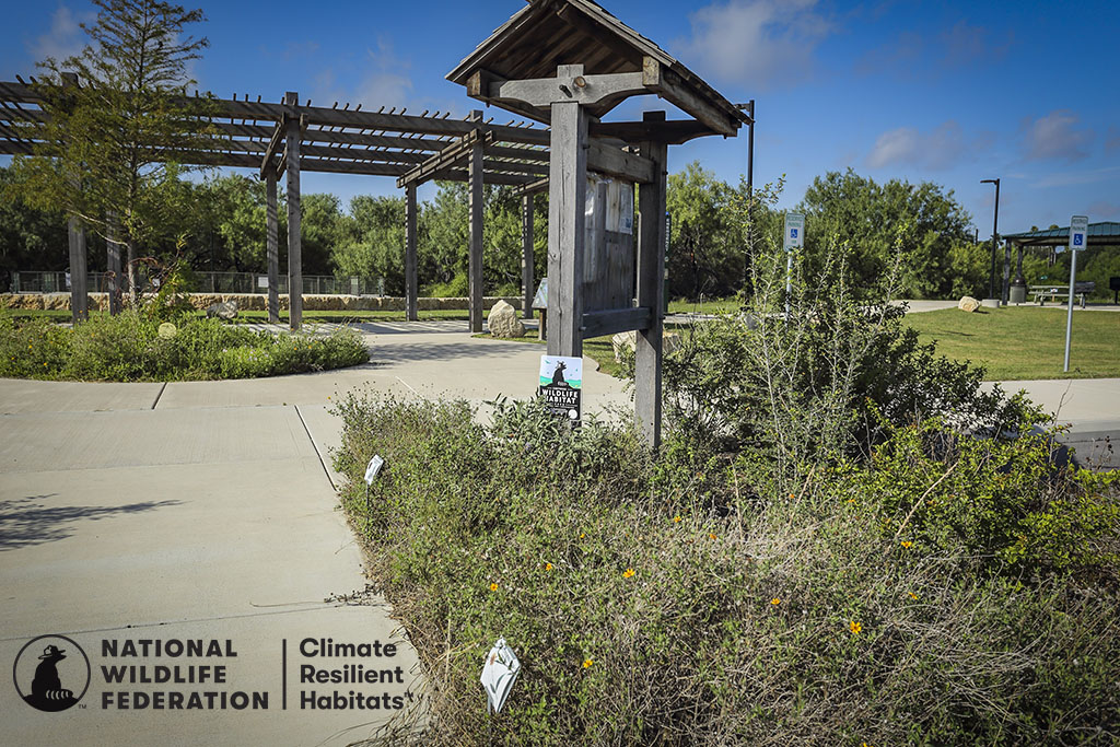 garden in public space with native plants and sign for National Wildlife Certified Backyard Habitat: graphic National Wildlife Federation Climate Resilient Habitats