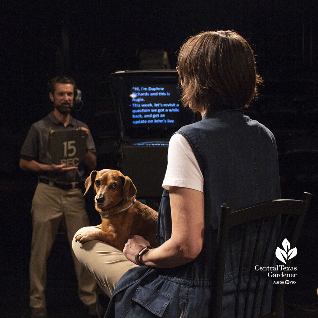dog on woman's lap. She is looking at teleprompter and TV crew person is holding card with time cue 