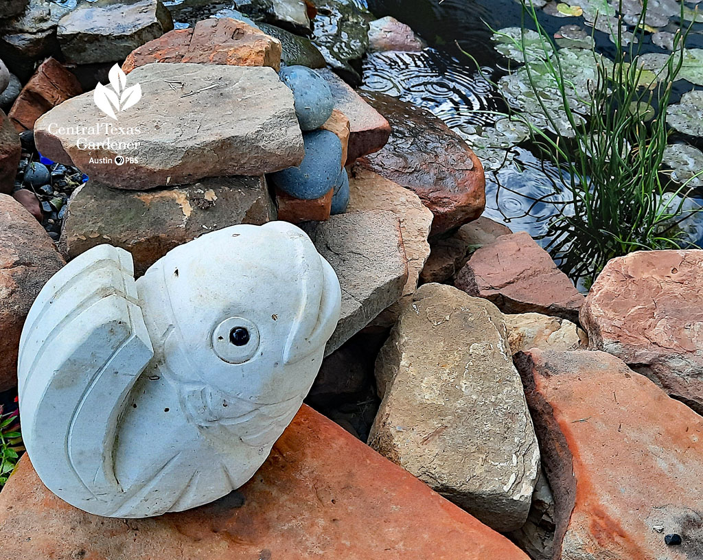 small limestone carved fish on ledge of pond