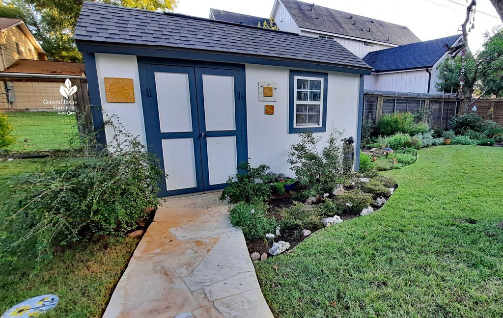 pale orange/white stone path, blue and white shed, curving flower bed on one side