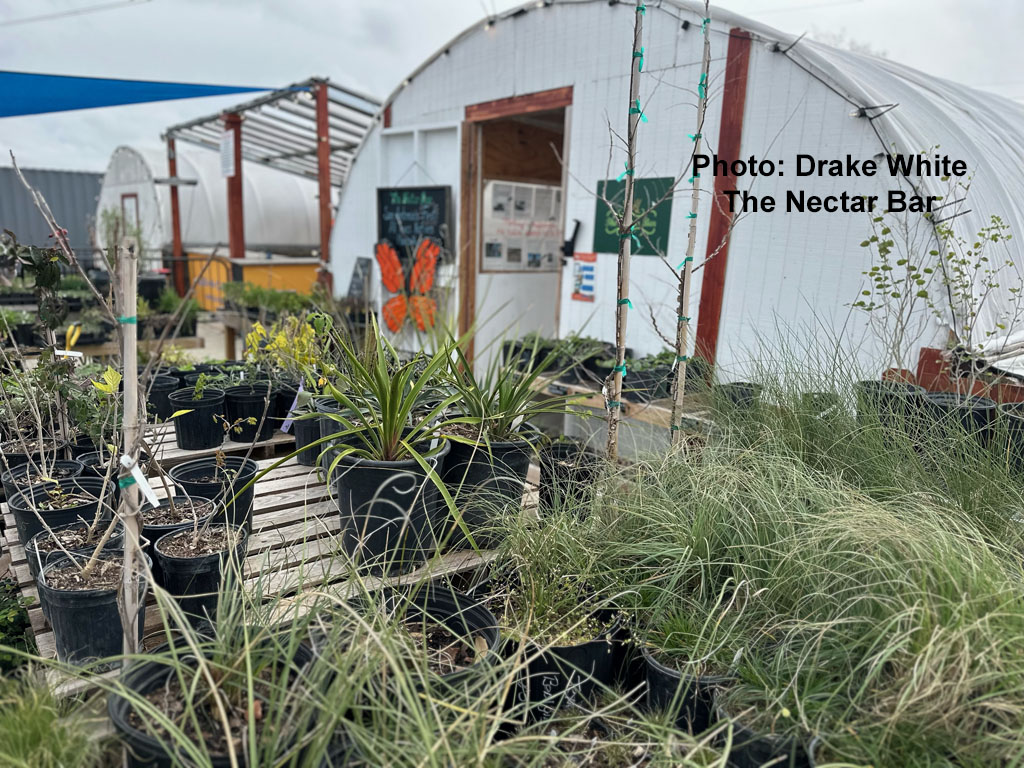 tables of plants at plant nursery 