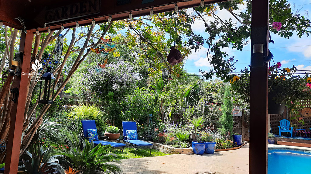 patio to concrete pool deck and grassy spot with blue chaise lounges surrounded by raised beds of colorful plants