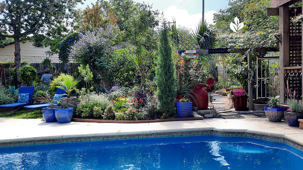 backyard pool to raised bed garden on other side of pool deck