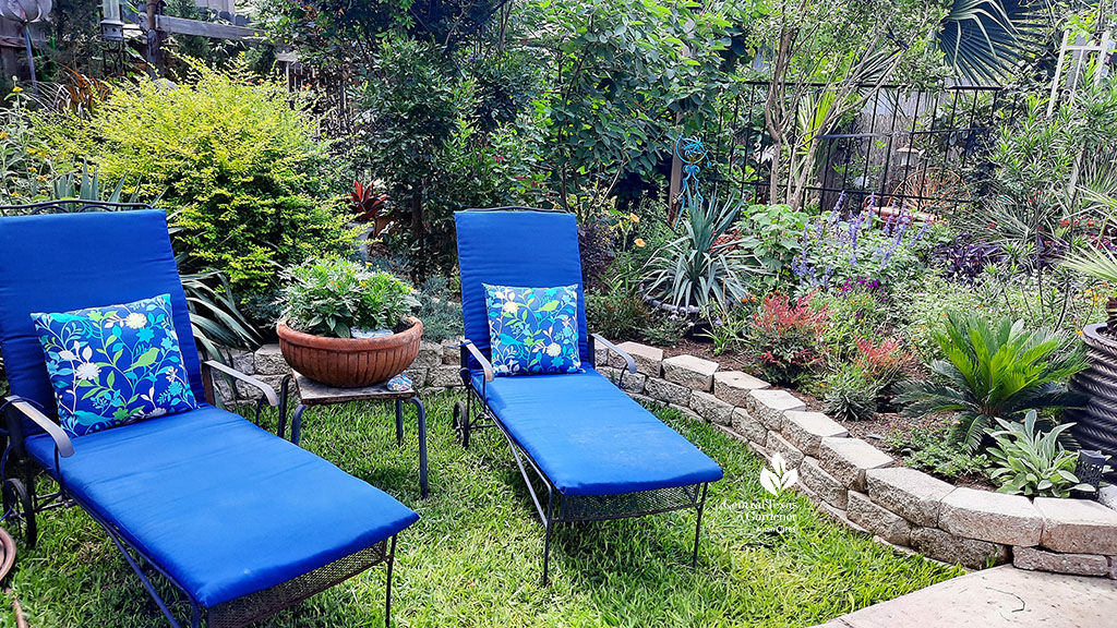 blue chaise lounges on grassy spot next to raised beds of colorful plants