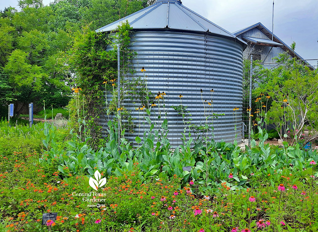 pink, yellow and orange flowers around a galvanized metal silo in garden bed 