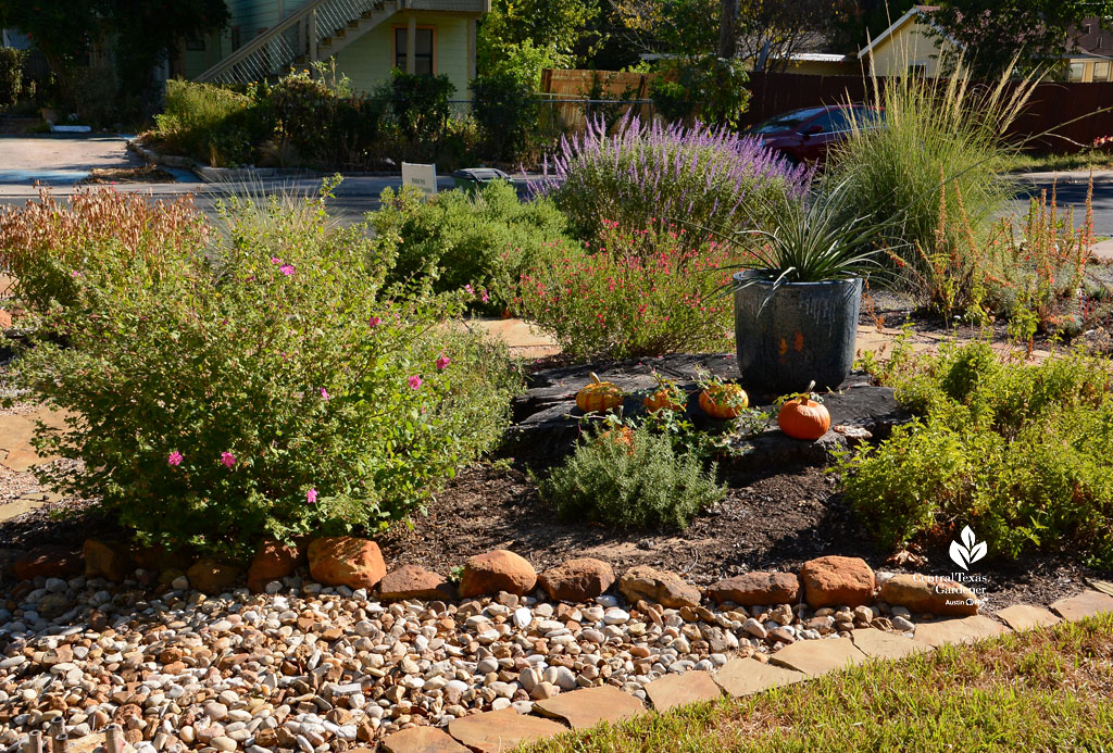 front yard circle garden with native plants in place of dead tree 