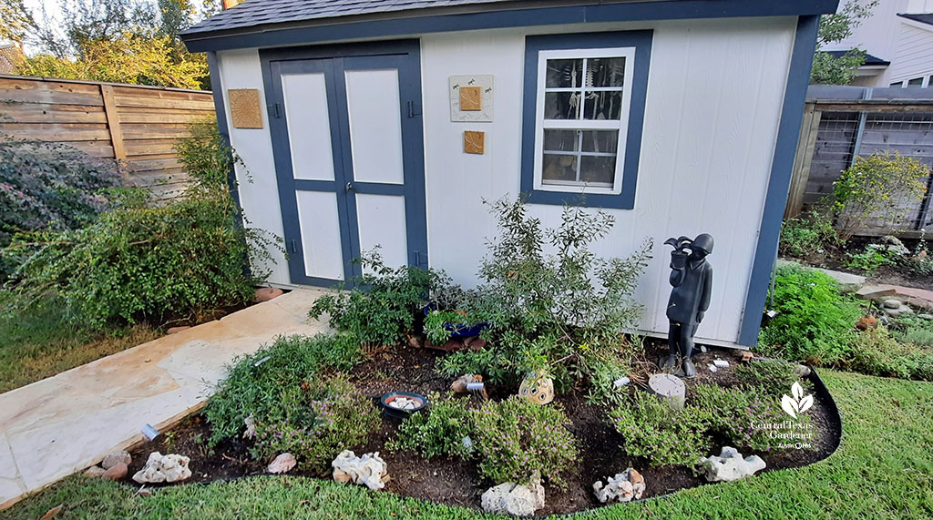 blue and white shed, garden bed, small metallic-looking dark gray sculpture