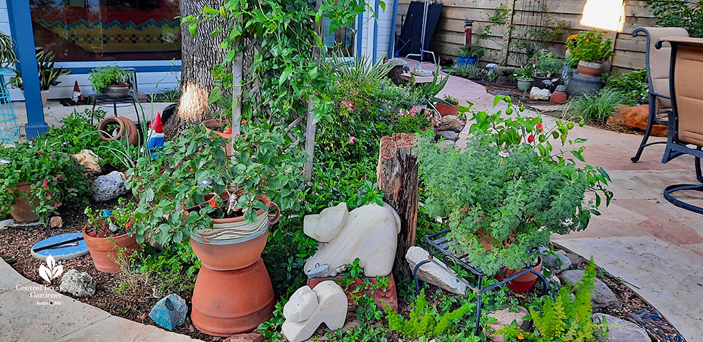 plants and garden art figurines under a tree in island bed outside den window