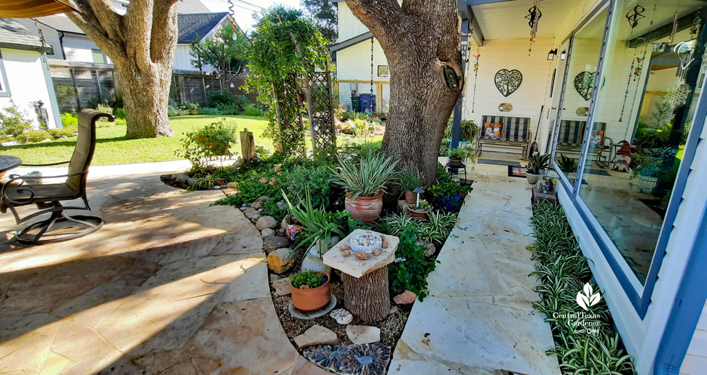 pale orange/white stone path next to house and tree with plants underneath, diverges to patio beyond