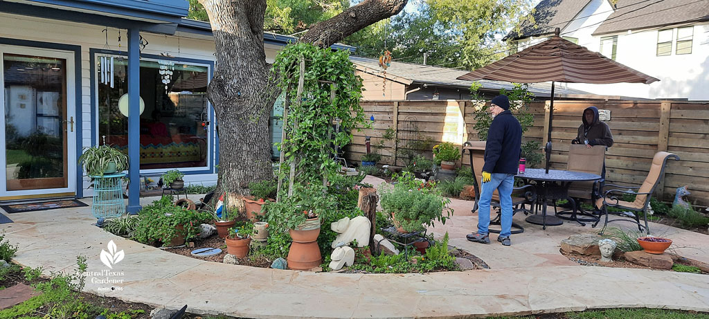 pale orange and white stone pathway near house tree with plants underneath, camera crew analyzing next shot