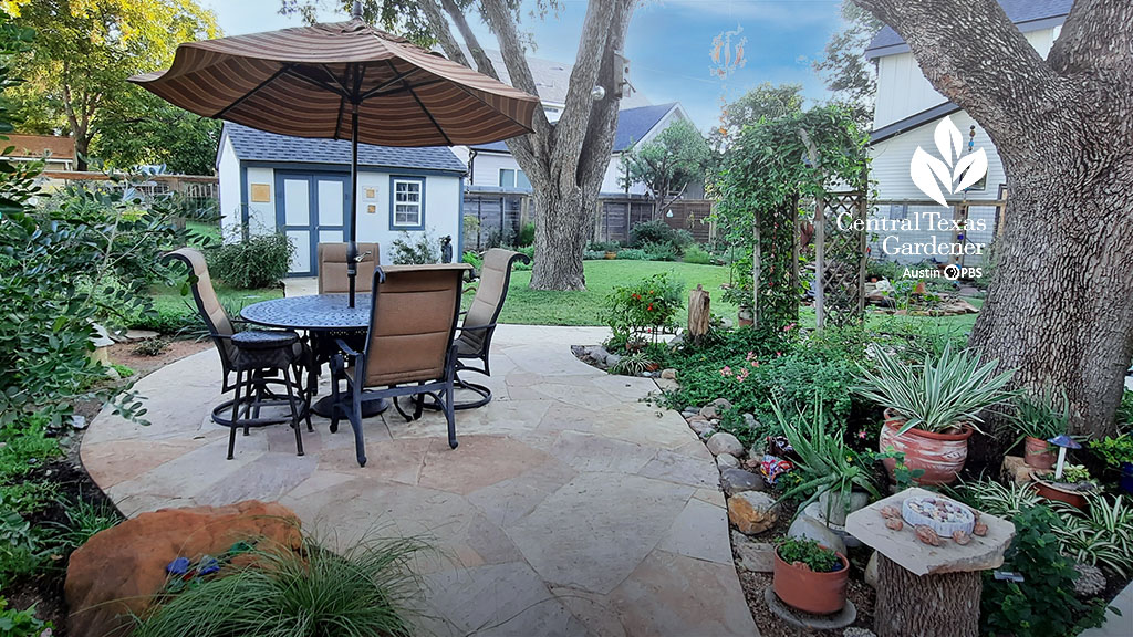 pale orange and white patio stones umbrella table plant border and shed beyond