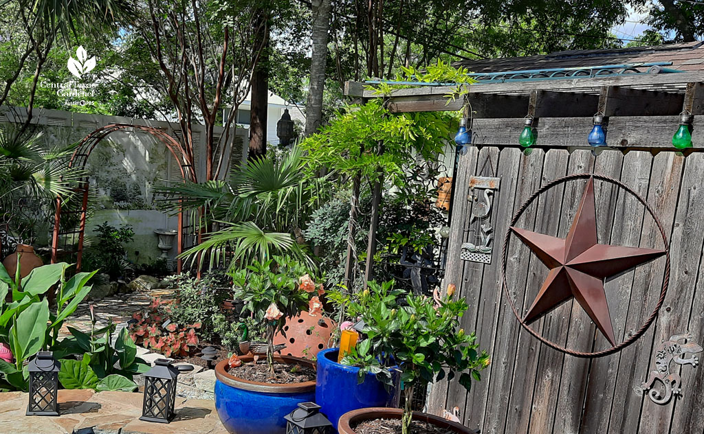 wood wall with metal Texas star, blue plant containers to orange arbor 