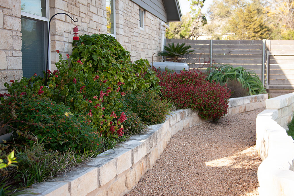raised limestone beds filled with evergreen and colorful shrubs and perennials 