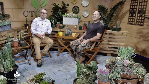 TWO SMILING MEN ON TELEVISION SET WITH MANY CONTAINERS OF MULTI-COLORED SUCCULENT PLANTS