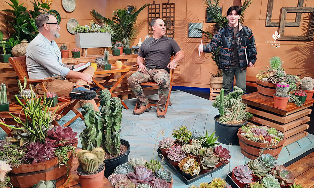 three men on televion set with lots of succulent plants; one is younger and giving his dad advice!