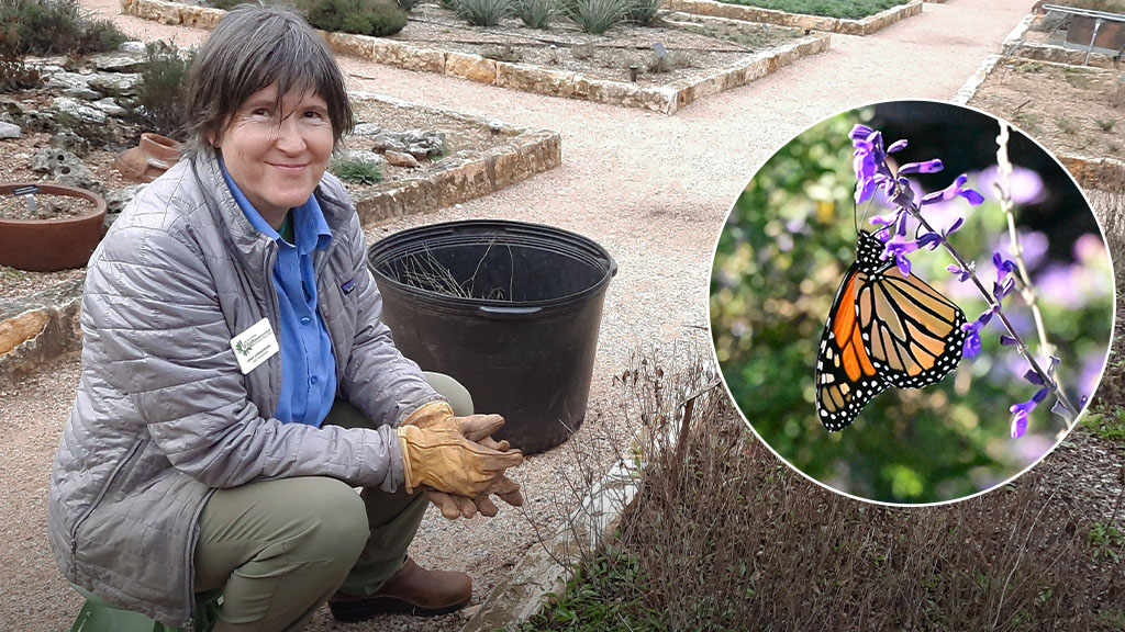 Wildflower Center horticulturist Leslie Uppingham.
