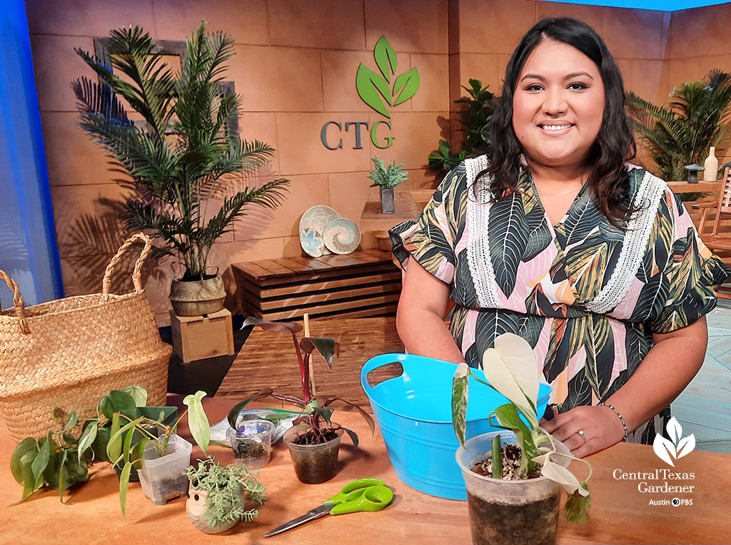 smiling young woman on TV set with small houseplants and watering can