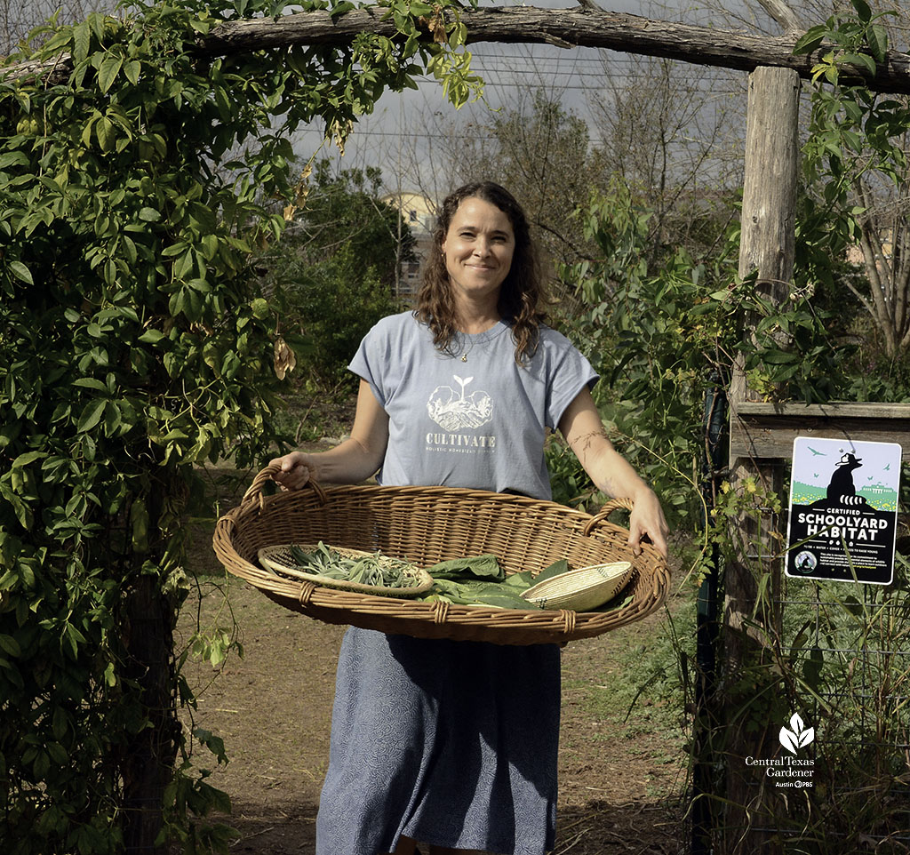 woman coming through gate with large basket of cut herbs
