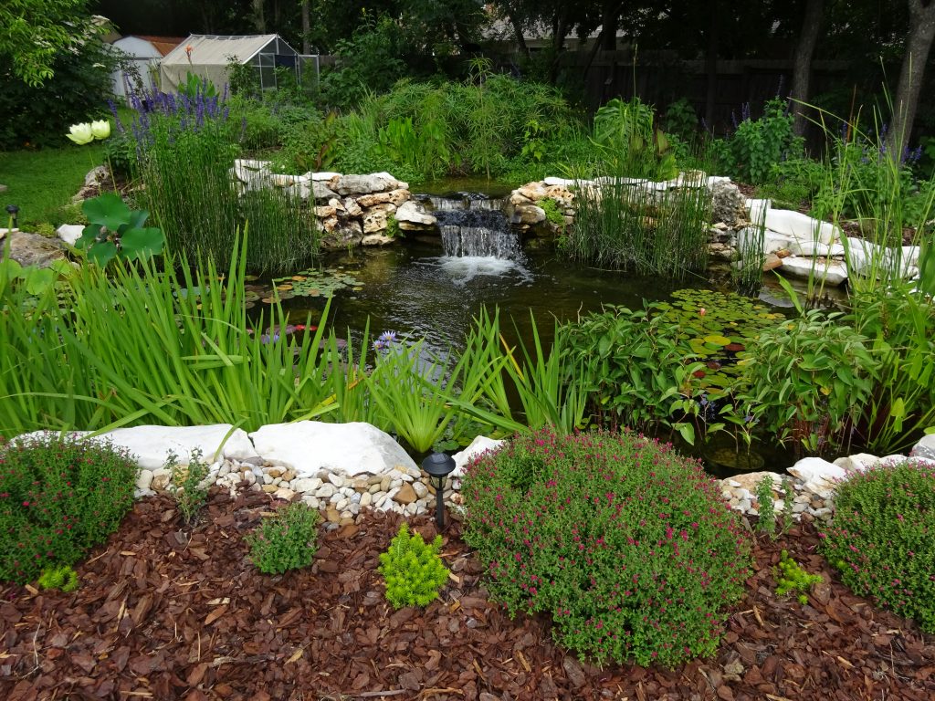 small rock lined pond bordered by plants 
