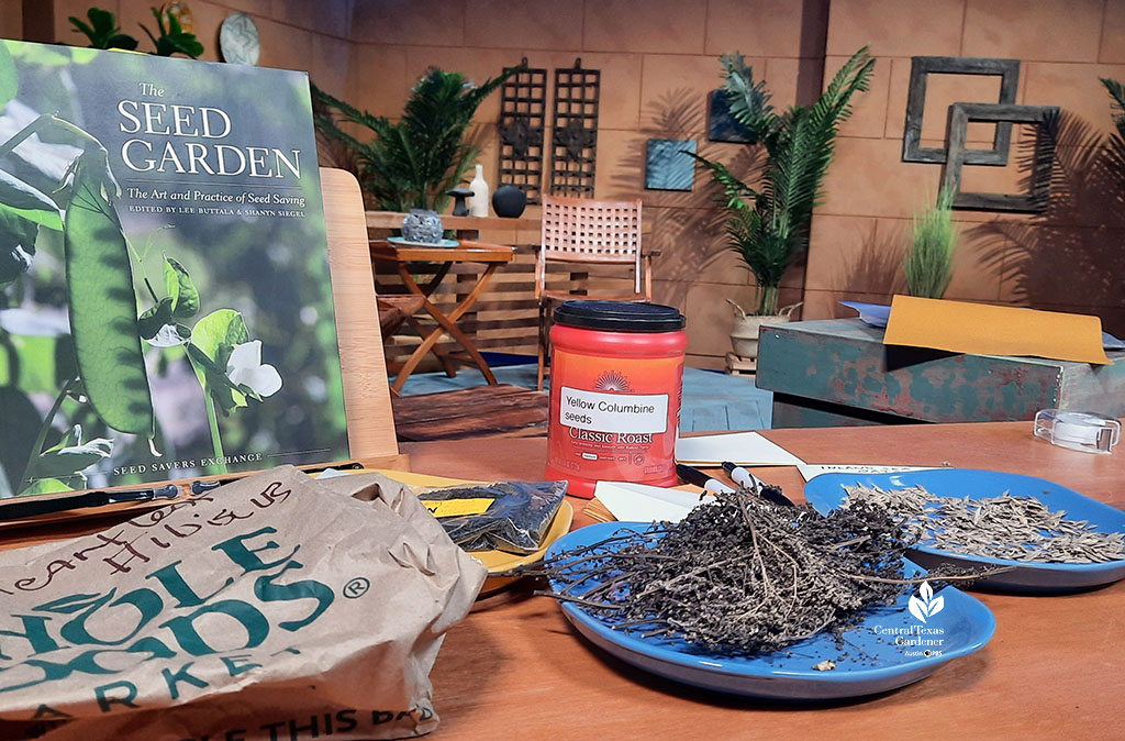 seed saving book and seeds on plates and in jars on TV set