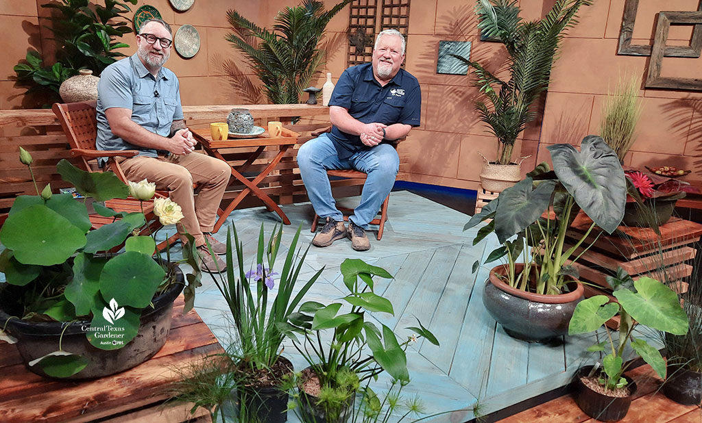 two men on CTG set with pond plants in pots 
