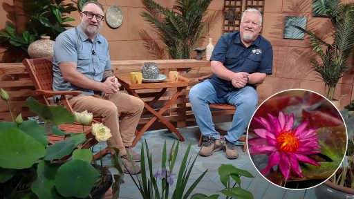 two men on CTG set with magenta flower in round graphic