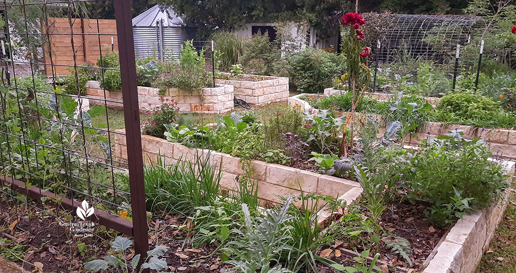 limestone raised beds cattle panel food and flowers galvanized cistern in background 