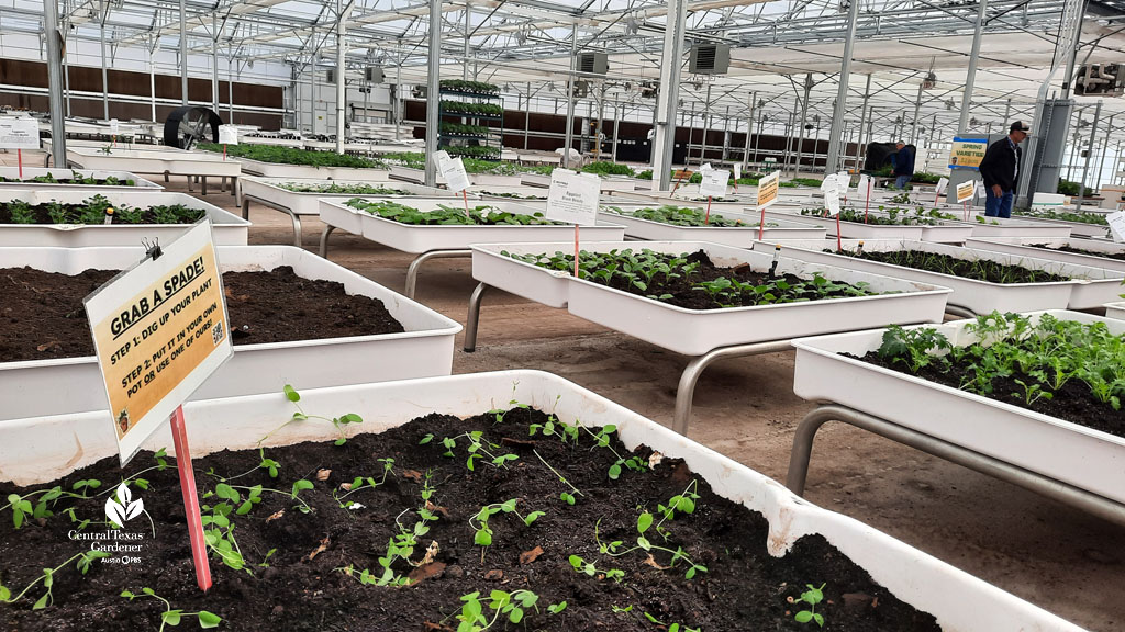 indoor growing beds, sign to dig your own 