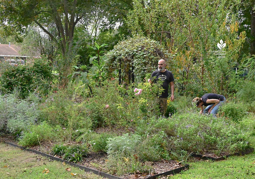 man and woman looking at flowering plants and shrubs 