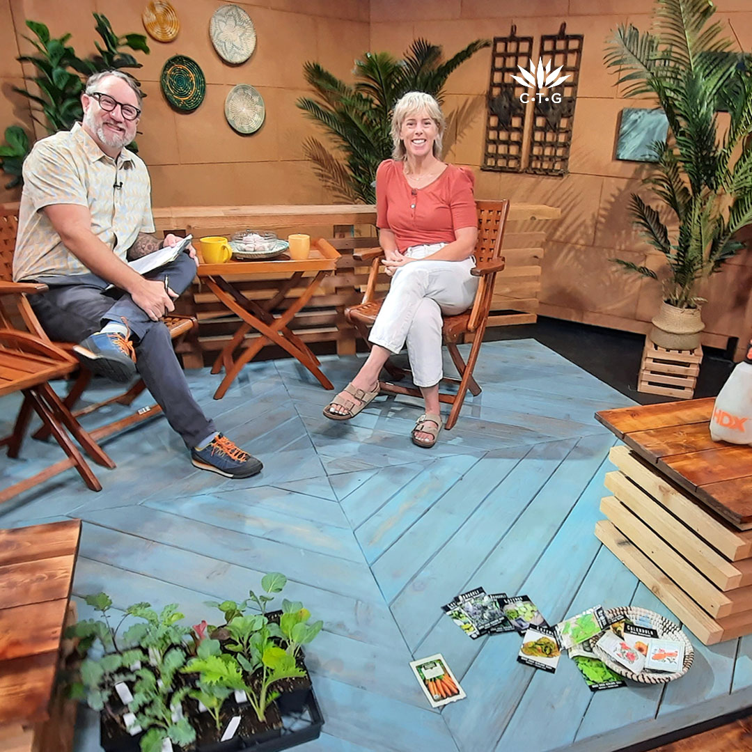 man and woman on colorful TV set