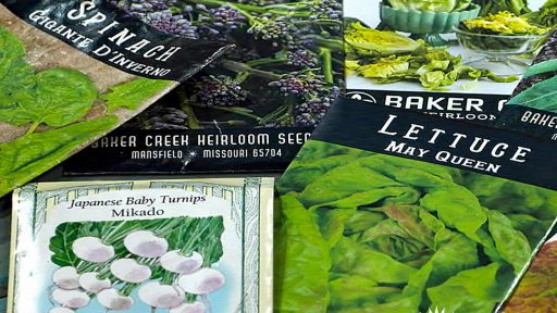 seed packets of broccoli, turnips, spinach and lettuce
