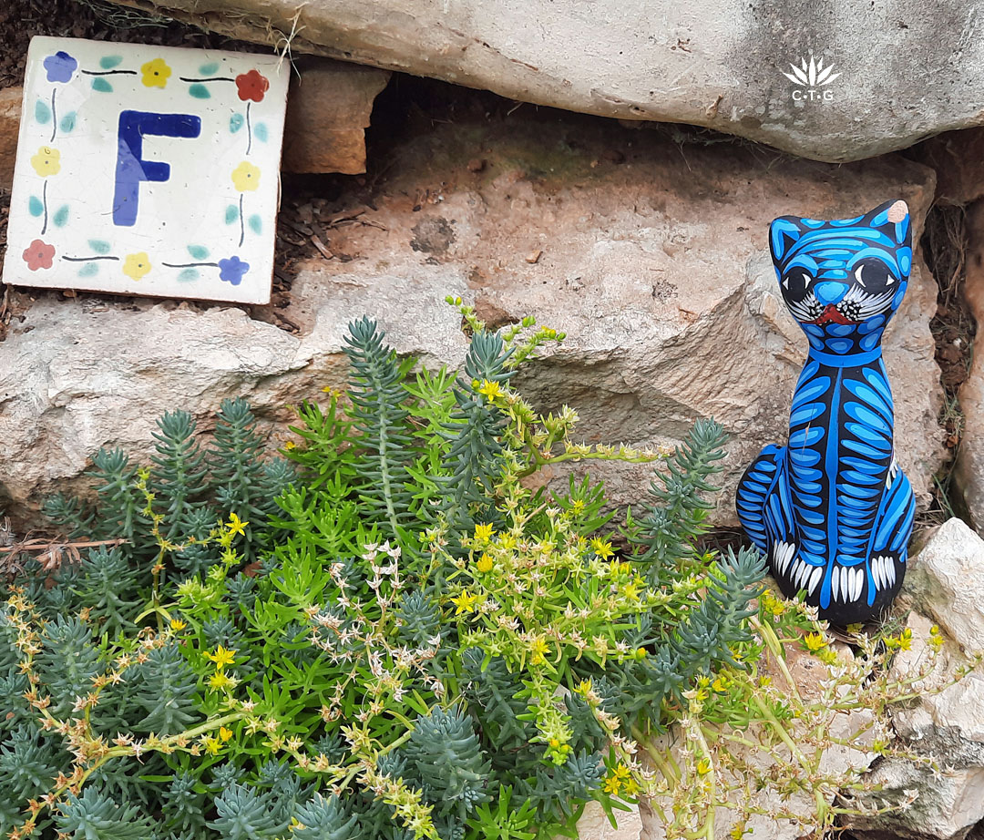 yellow flowered sedum with ceramic tile painted with letter F and a bright blue, small ceramic cat on limestone edging
