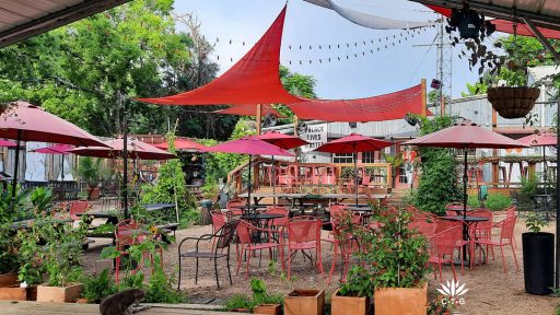 cat sits on outdoor stage in a garden and patio area for theater patrons