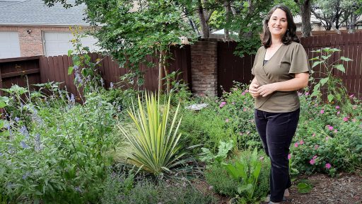 GARDEN ALEXA VOLPE