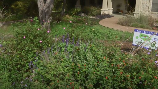 GARDEN LAURA O_TOOLE