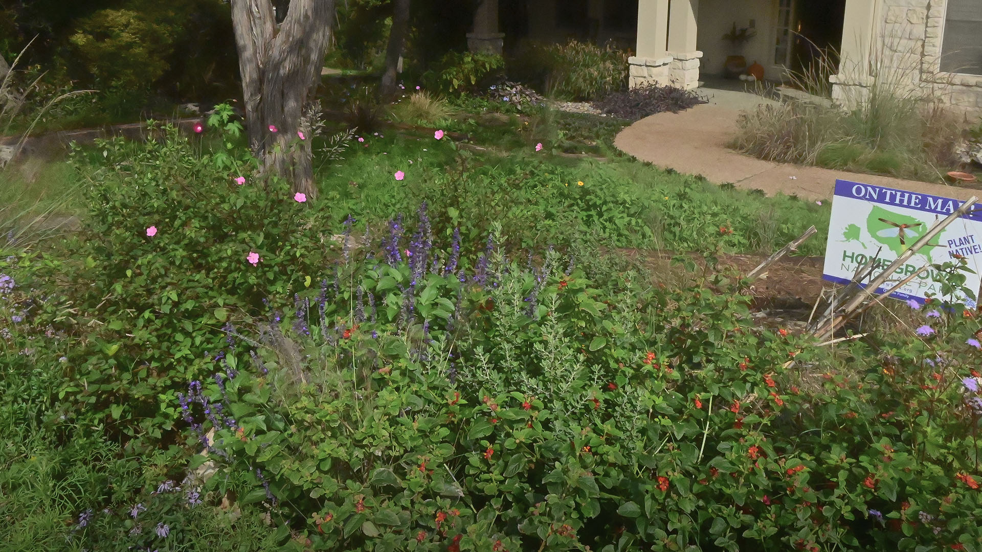 GARDEN LAURA O_TOOLE