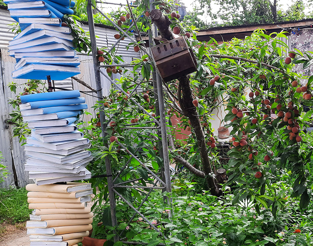 styrofoam books with peach tree
