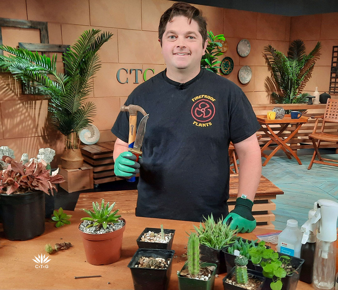 Man holding hammer and knife in front of a table of succulents