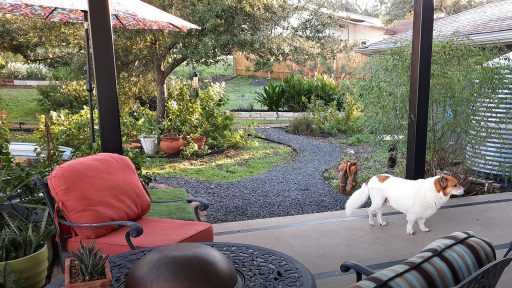 GARDEN KAT AND DAVE SHERBY