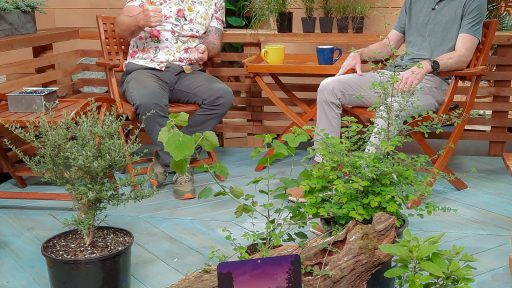 Ben Pfeiffer of Firefly Conservation and Research