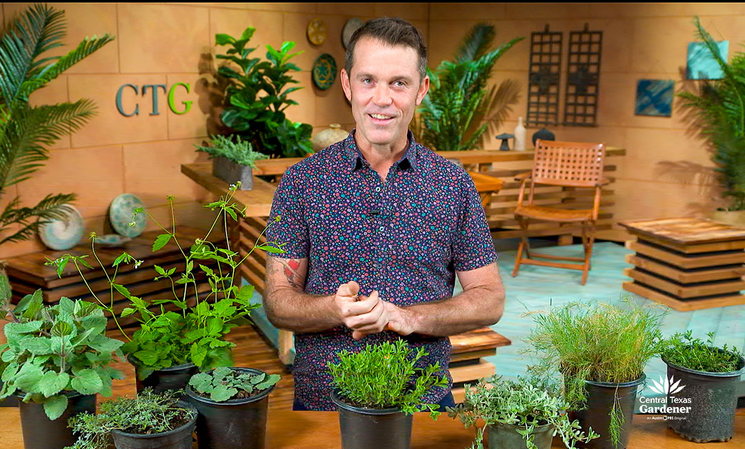 William Glenn in front of plants on CTG set