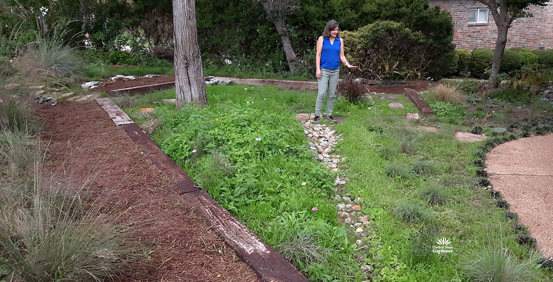 Laura O'Toole in front yard with native grasses and dry creek bed