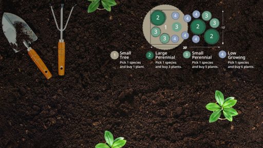 Graphic: Plant By Numbers