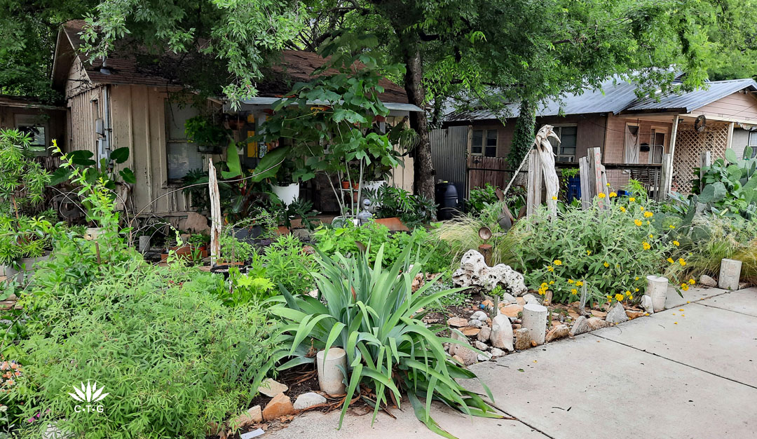 curb side planting of flowers, succulents, grasses and rocks, logs, garden art 