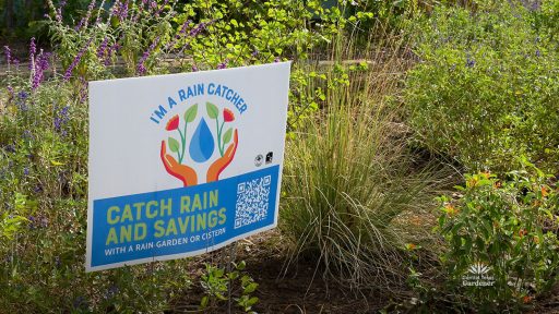 Rain catcher sign next to Lindheimer muhly